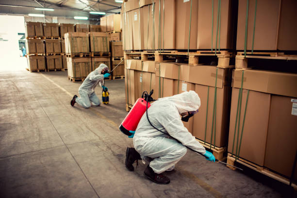 Best Cockroach Control Services  in Mahomet, IL