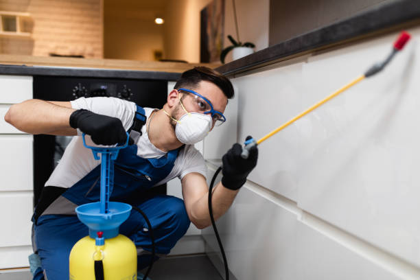Best Termite Control Services  in Mahomet, IL