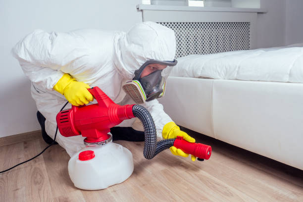 Best Flea Control Services  in Mahomet, IL