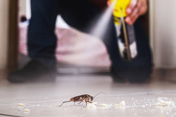 Best Pest Removal Services  in Mahomet, IL